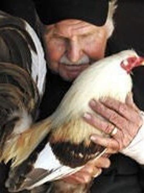 sabong chicken talk|mike ratliff keep.